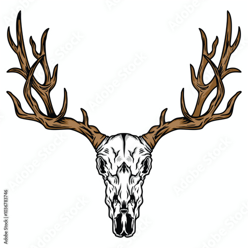 Taxidermy Illustration