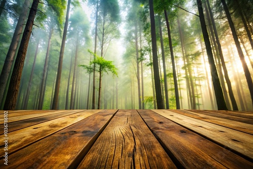 Enigmatic haze and marvellous wood from a low angle view photo