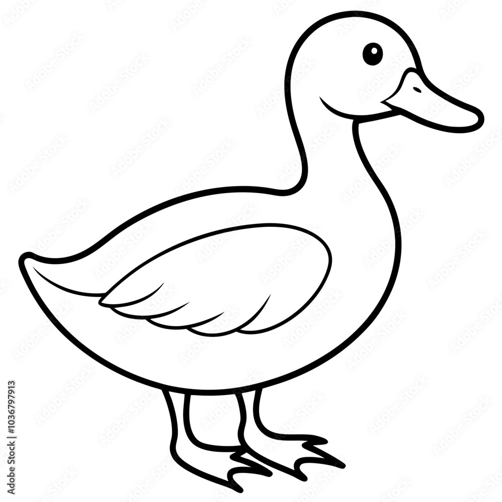 Duck Duck
