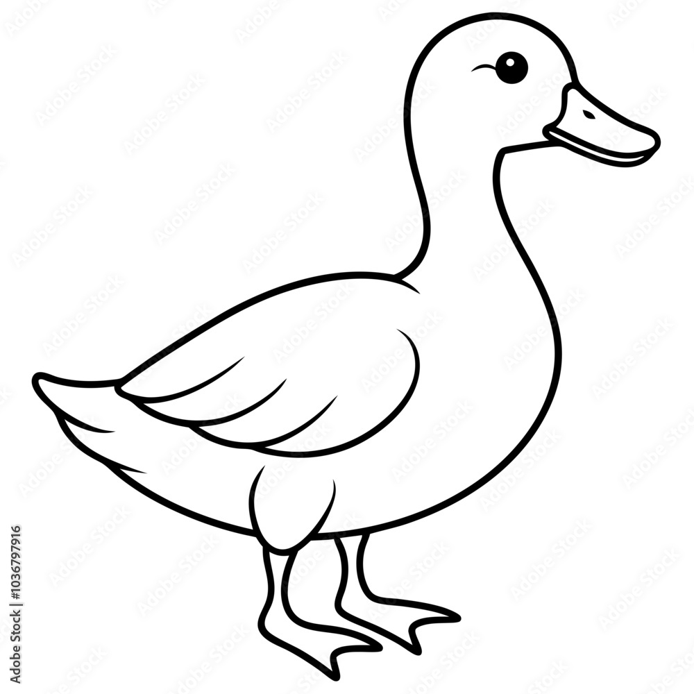 Duck Duck