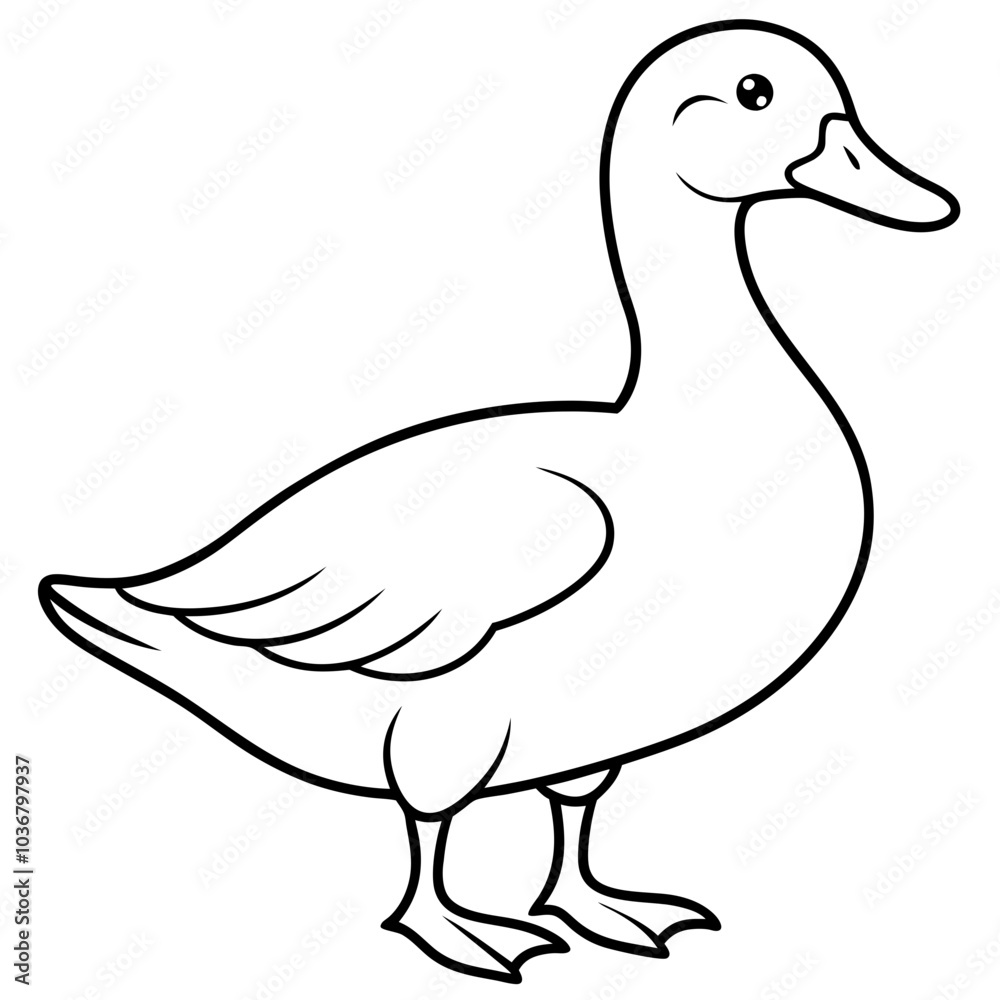 Duck Duck