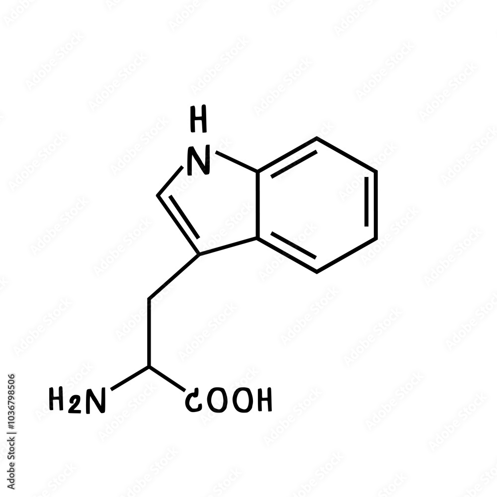chemical structure of or tryptophan illustration chemical structure of or tryptophan illustration