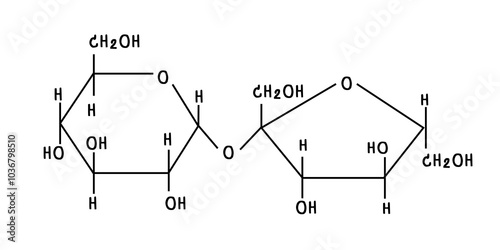 chemical structure of or sucrose  illustration
