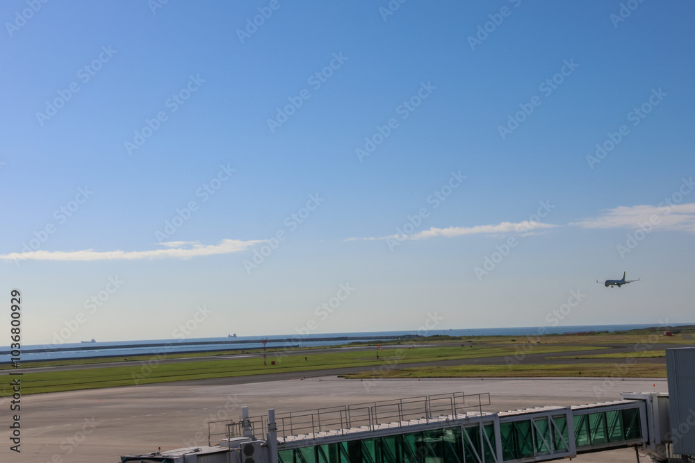 滑走路の先に広がる朝の空