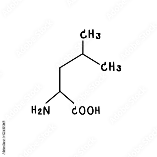 chemical structure of Leucine illustration
