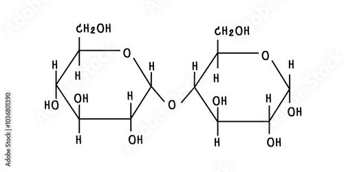 chemical structure of maltose illustration