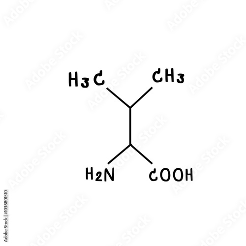 chemical structure of Valine illustration