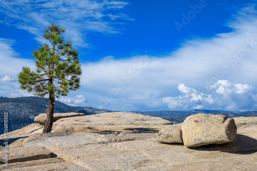 Yosemite National Park, California: Lonely tree between rock formation at Taft Point with blue sky  photo