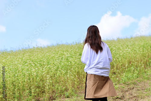 白とピンクのそばの花の丘を散歩する女性 満開のそばの花 青空と白いそばの花の美しいコントラストが印象的な風景