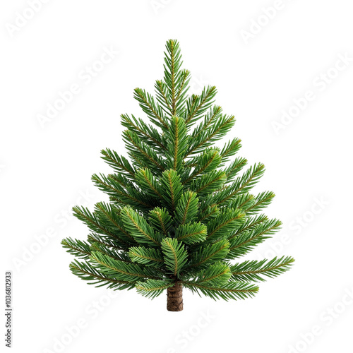 Lush Green Pine Tree with Full Branches and Thick Foliage. photo