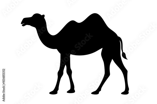 Camel silhouette on vector illustration