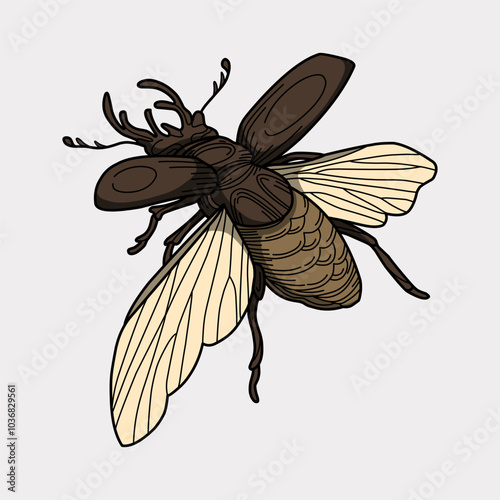 Lucanus cervus beetle colorful handmade illustration artwork