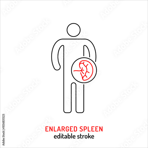 Enlarged spleen line icon. Medical symptom outline sign