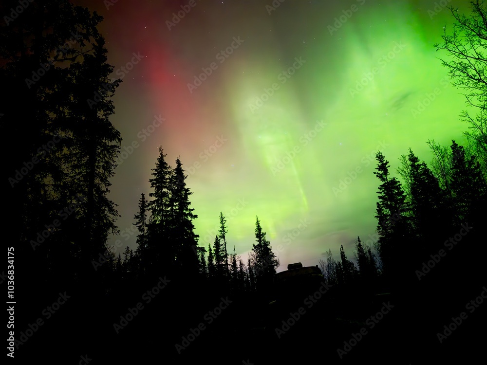 Fototapeta premium Colorful aurora amongst trees and lone building