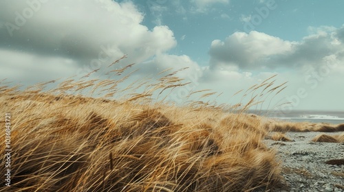 A serene scene with tall grass swaying near a calm body of water photo