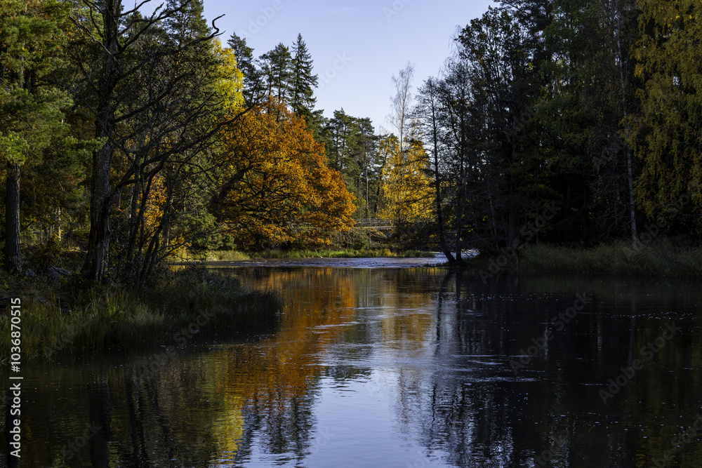 Sunny river landscape in autumn. Farnebofjarden national park in north of Sweden Sunny river landscape in autumn. Farnebofjarden national park in north of Sweden