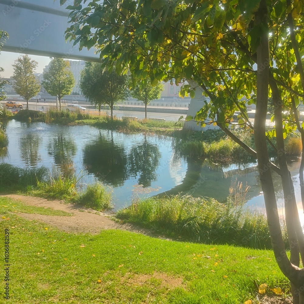 lake in the park