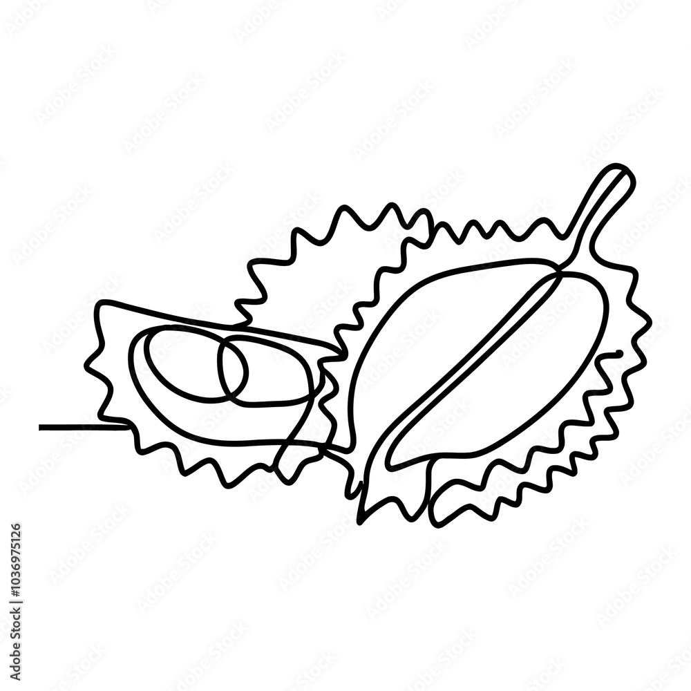 durian line drawing durian line drawing