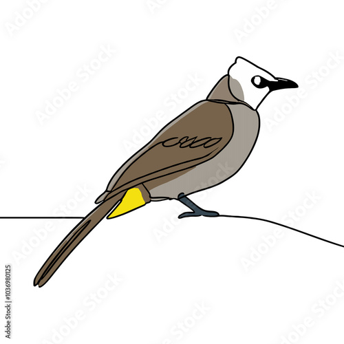 Yellow vented bulbul Line Drawing photo