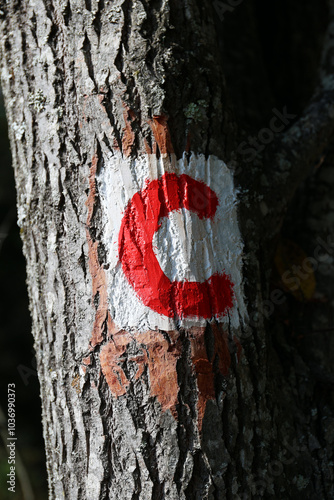 Bicycle path sign painted on a tree.