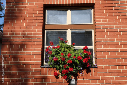 Blooming red geraniums in the window, Tatranska Lomnica, Slovakia.