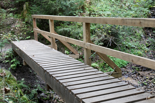 Wooden bridge on the hiking trail from Tatranska Matliare to Tatranska Lomnica in the High Tatras, Slovakia. 