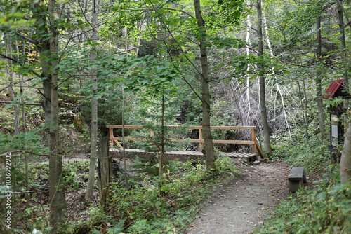 Wooden bridge on the hiking trail from Tatranska Matliare to Tatranska Lomnica in the High Tatras, Slovakia. 