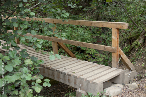 Wooden bridge on the hiking trail from Tatranska Matliare to Tatranska Lomnica in the High Tatras, Slovakia. 