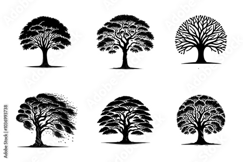 set of Elm tree silhouette logo type - black Elm tree bundle on white - nature tree vector illustration