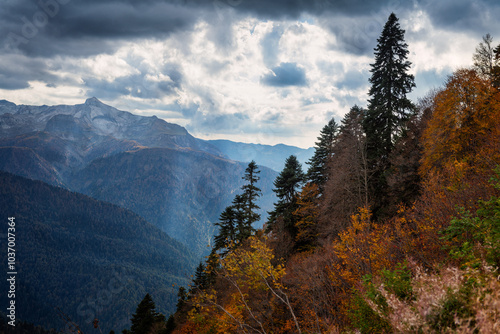 Autumn in the mountains
