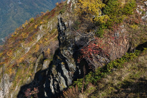 Autumn in the mountains