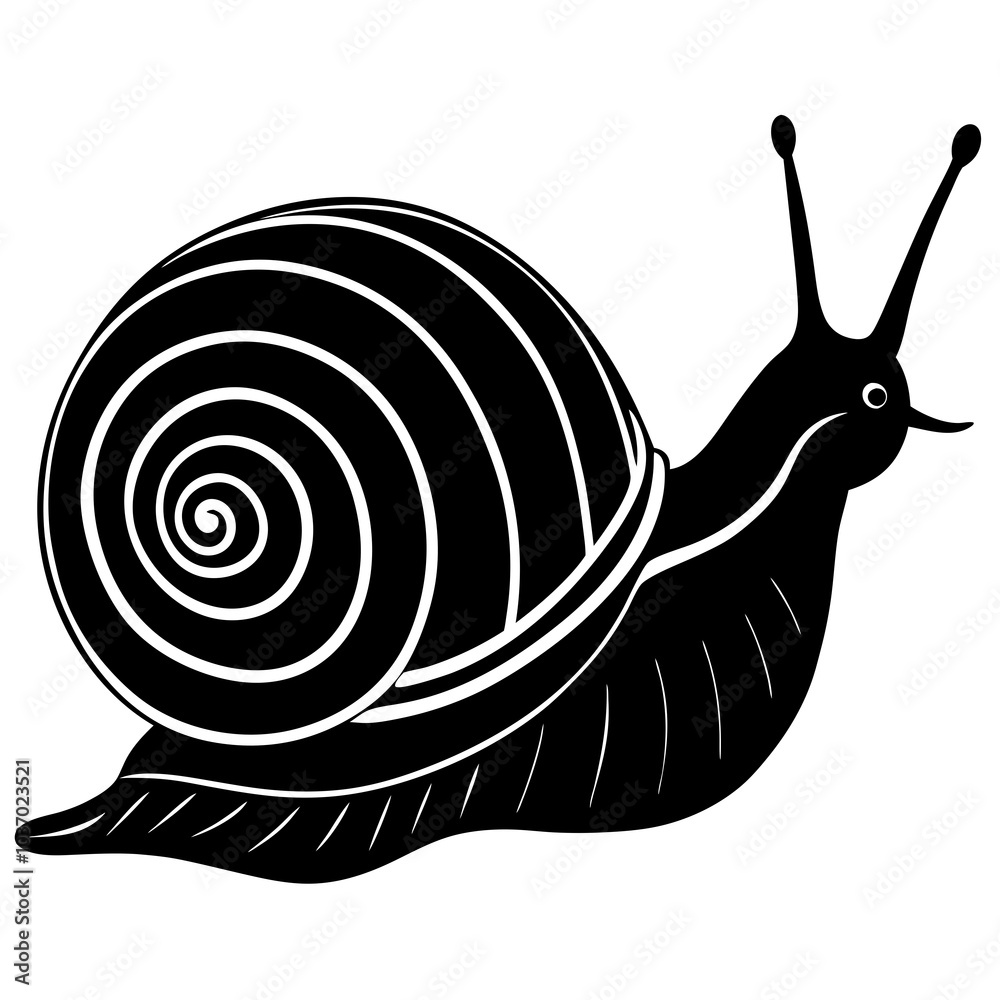 snail on a white background