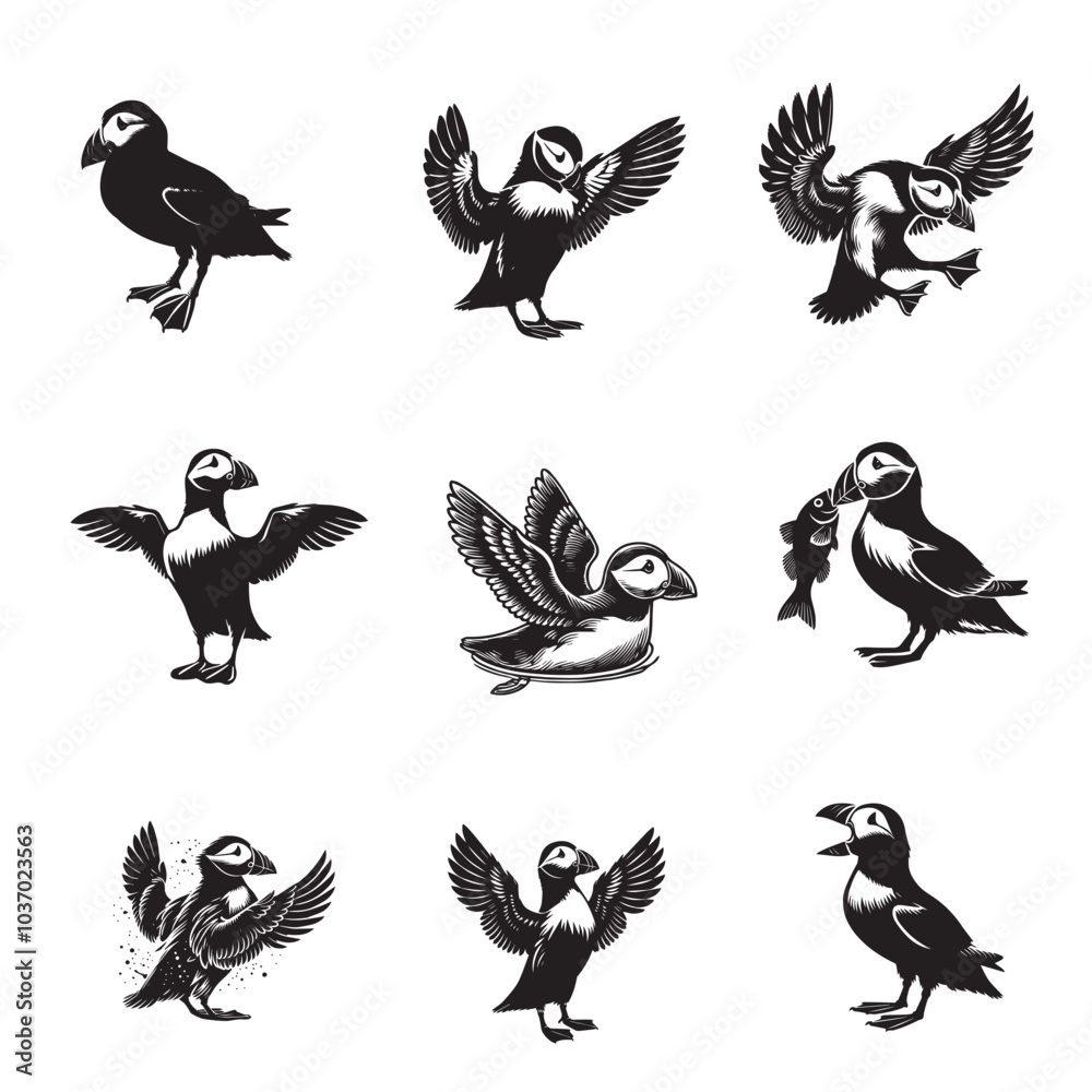 Obraz premium Collection of Atlantic puffin Vector illustration - Atlantic puffin Bird Silhouette Design