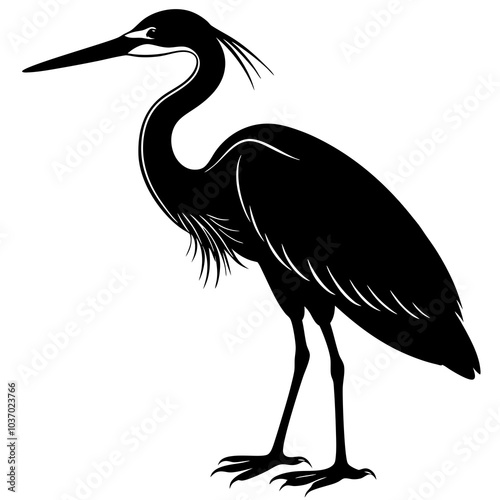 heron on a white background photo