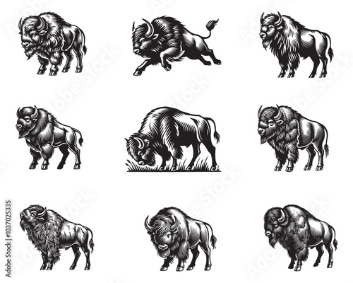 Collection of Bison Vector illustration, American bison Clipart Design in black and white
 photo