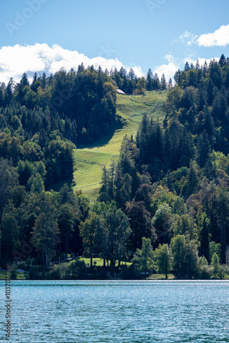 Fotografi Summer tobogganing bobsled tracks in the rails in the steep green hills around lake Bled in Slovenia