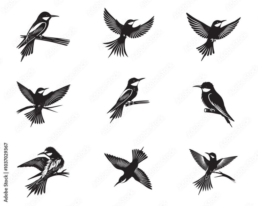 Obraz premium Collection of European bee-eater Vector illustration - European bee-eater Bird Silhouette Design