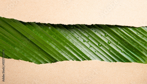 Green leaves, banana leaves, recycled paper, and backgrounds symbolize nature and sustainability, promoting eco-conscious living with biodegradable materials and zero waste solutions