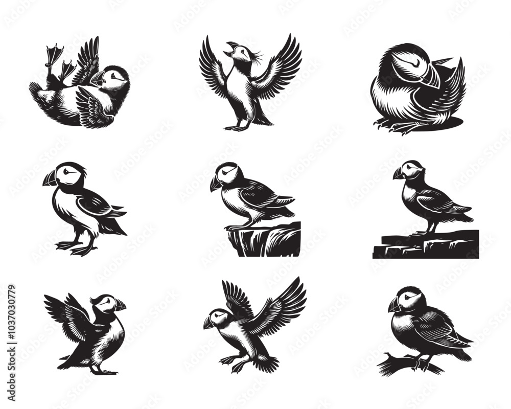 Obraz premium Collection of Horned puffin Vector illustration in black and white