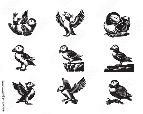 Collection of Horned puffin Vector illustration in black and white