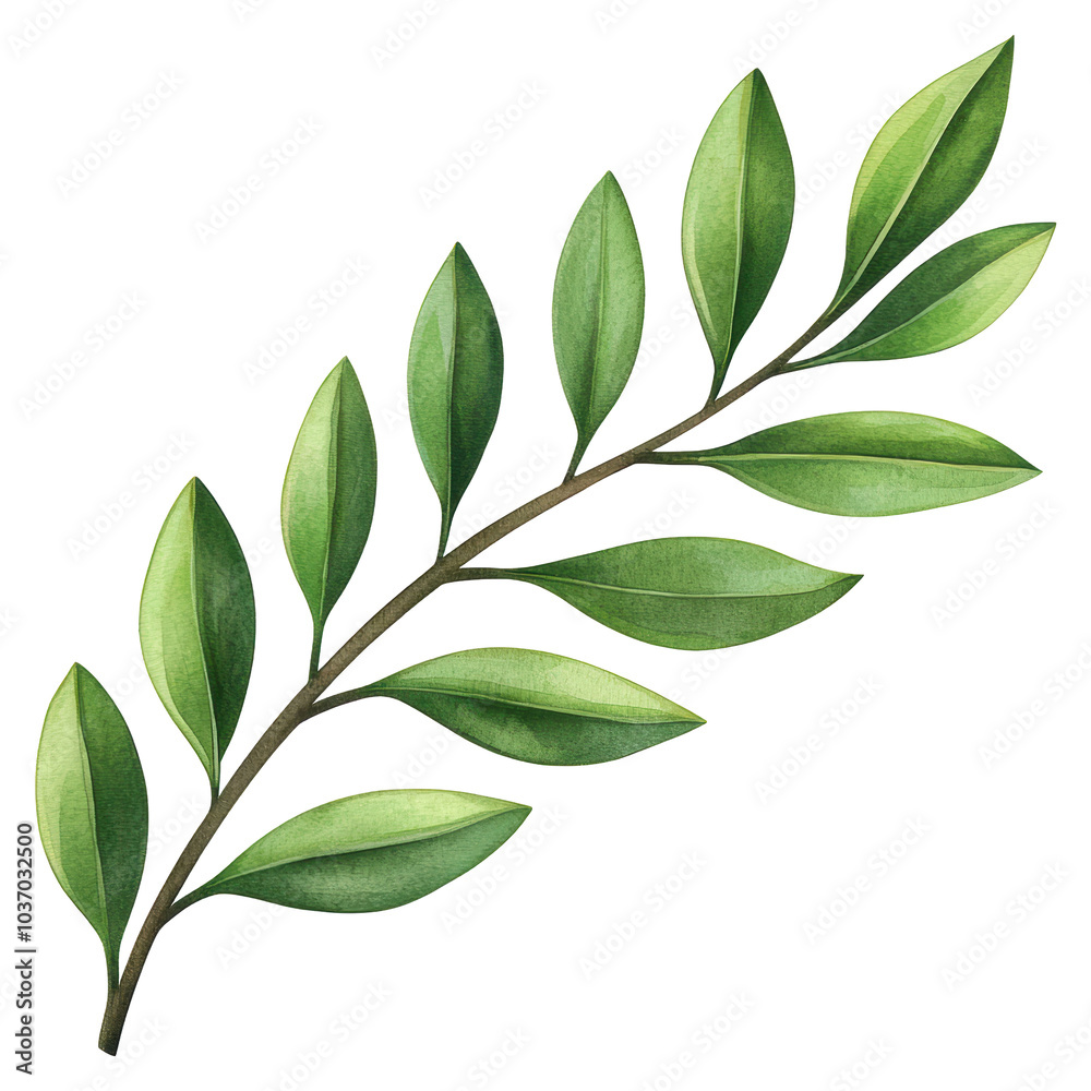 A leafy green branch with a few leaves on it A leafy green branch with a few leaves on it