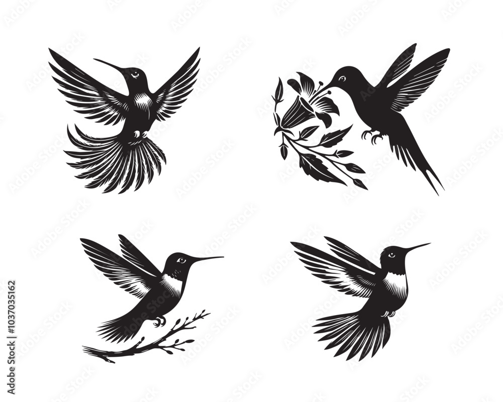 Fototapeta premium Collection of Hummingbird Clipart design, Hummingbird Vector illustration in black and white 