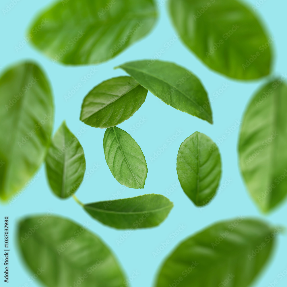 Fototapeta premium Green leaves swirling in air on light blue background