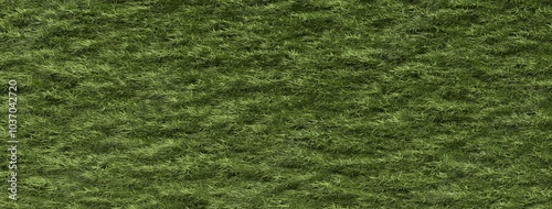 3D modeling photorealistic fluffy green grass or moss, there filled large width rectangle.