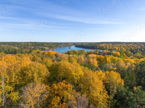 Aerial view of yellow autumn leaf foliage in trees of Hellasgården Nackareservatet nature reserve in Sweden photo