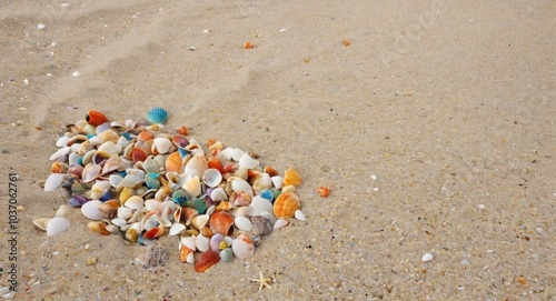 beach in the summer photo