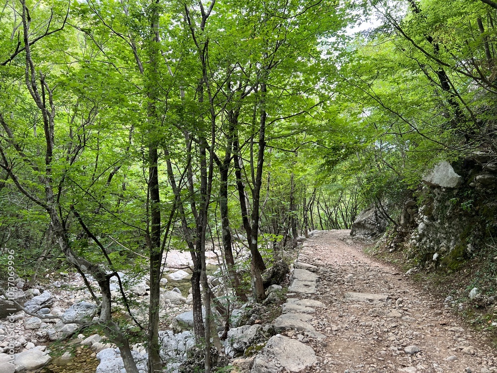 Obraz premium Mountaineering and recreational trails in the Velika Paklenica canyon, Starigrad (Paklenica National Park, Croatia) - Bergsteiger in der Schlucht Velika Paklenica, Starigrad (Nationalpark Paklenica)