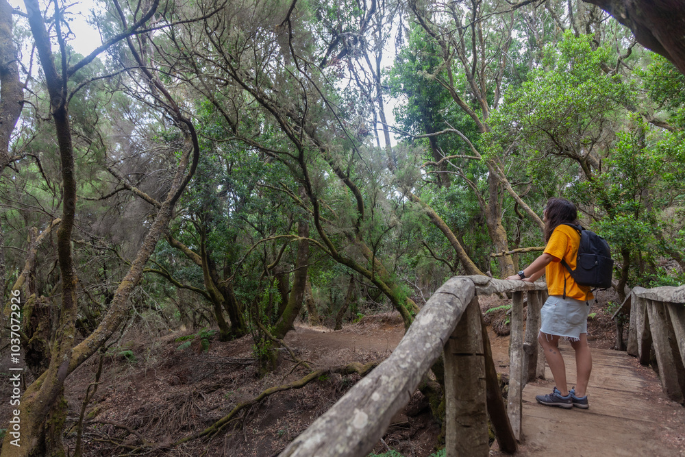 Young woman hiking in magical misty forest Young woman hiking in magical misty forest