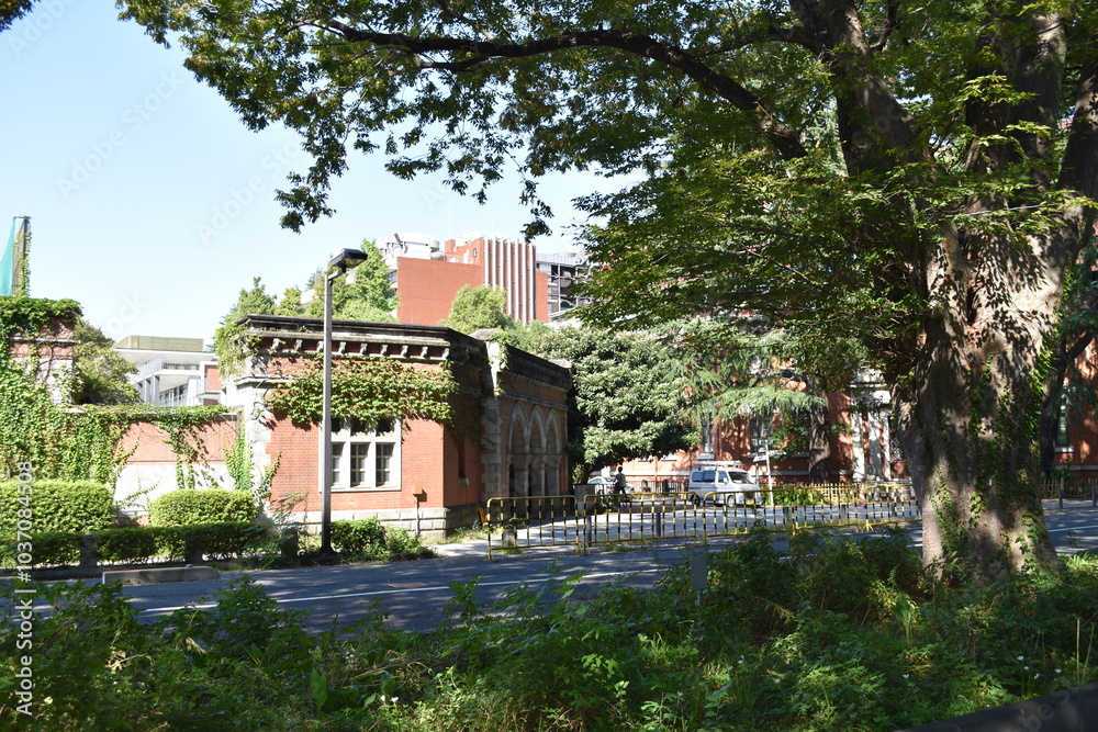 Fototapeta premium 大学舎 東京