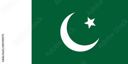 Flag of Pakistan. An illustration of the Pakistan flag. A rectangular flag. Standard size flag icon.
